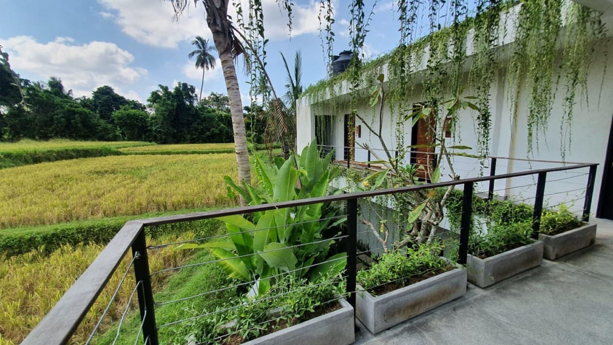 Ayurvedagram Bali Hotell Ubud Eksteriør bilde