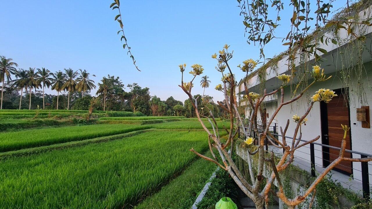 Ayurvedagram Bali Hotell Ubud Eksteriør bilde