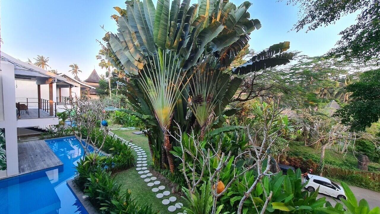 Ayurvedagram Bali Hotell Ubud Eksteriør bilde