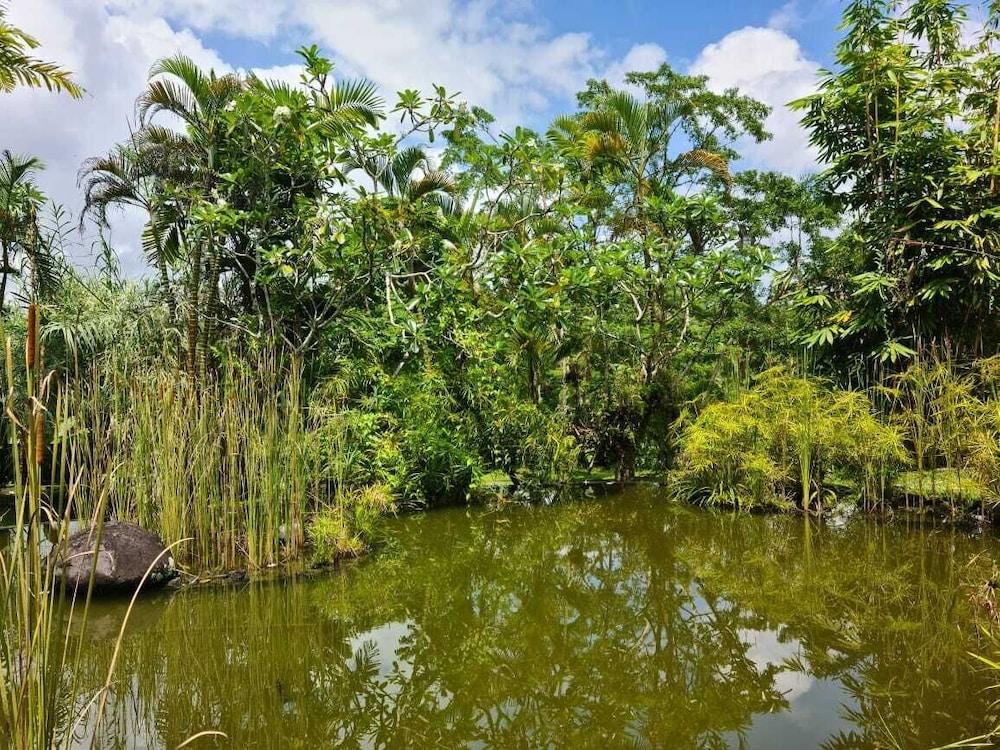 Ayurvedagram Bali Hotell Ubud Eksteriør bilde